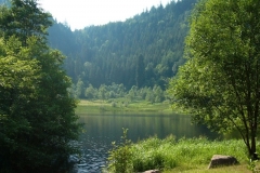 ambulatour-06-von-brauni-83