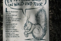 ambulatour-06-von-snoopy-186