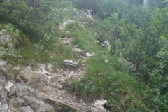 Aufstieg-Hörndlwand-103