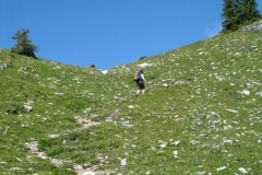 ambulatour-2007-715