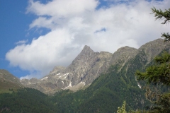 ambulatour-08-von-festus-289