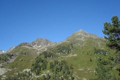 ambulatour-08-von-festus-302