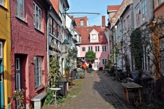 Extinctour2015_Rollo_20151029-034