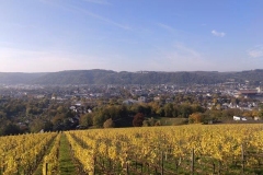 IMG_20191031_132707_455_640x480