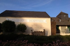 IMG_20191031_160019_737_640x480