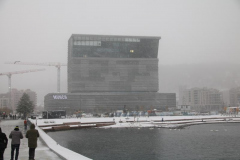 IMG_0045_800x533