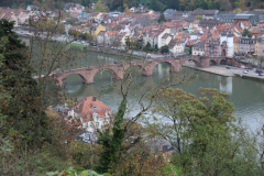 IMG_1625