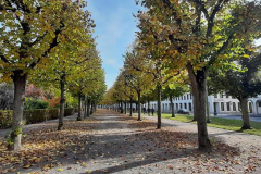 20211029_142418_800x369