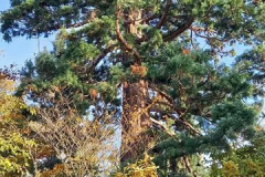 20211029_151546_800x360