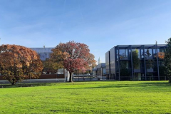 20211029_151826_800x369