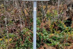 20211030_145415_800x369