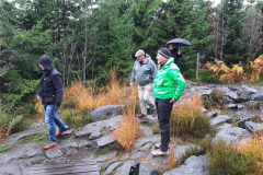 20211030_154420_800x369