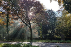 20211031_094744_800x450