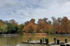 20211031_103342_800x369