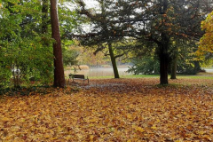 20211031_103710_800x369