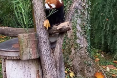 20211031_144655_800x360