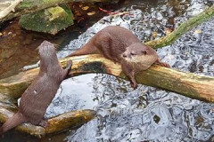 20211031_150705_800x360