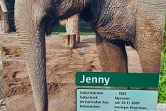 20211031_152034_800x360