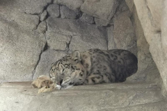 IMG_20211031_145559_800x600