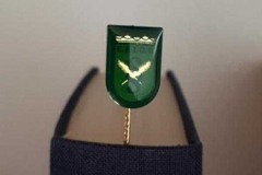 IMG_20200726_172619_528x480