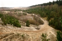 strongman-2009-4501617